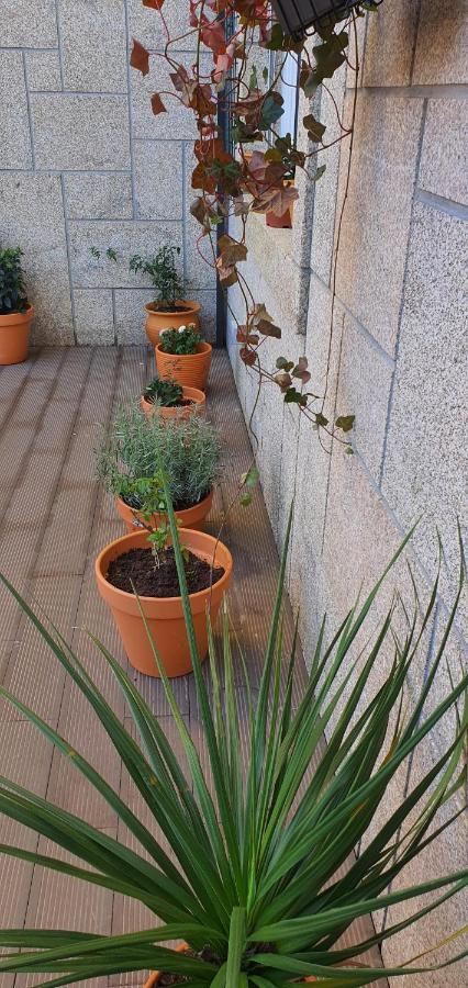 维塞乌O Terraco Florido公寓 外观 照片